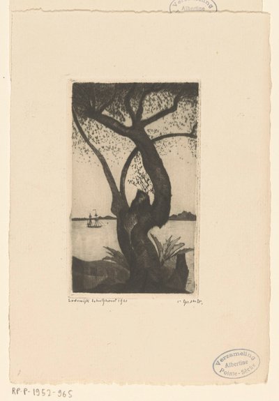 Olivenbaum auf Korsika von Lodewijk Schelfhout (signed by artist)