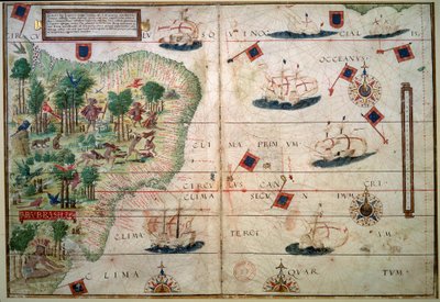 Hydrographische Karte von Brasilien - Manuskript illuminiert „Portugiesischer Nautischer Atlas“ von Kartograph Loppo Homem 1519 Paris. B.N. von Lopo Homem