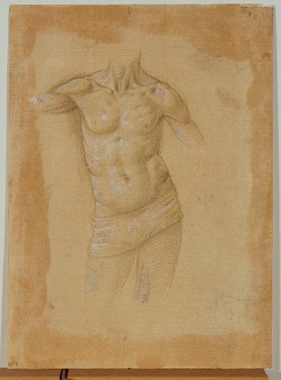 Büste eines halbnackten Mannes, ohne Kopf von Lorenzo di Credi
