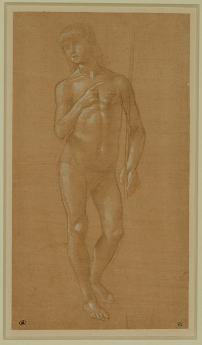 Nackter junger Mann, Frontalansicht, mit einem Stab, Silberstift, weiß gehöht, hellrosa Papier von Lorenzo di Credi