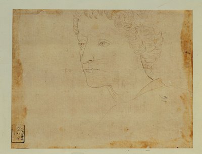 Porträt eines Jungen mit lockigem Haar, Dreiviertelansicht nach links von Lorenzo di Credi