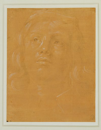 Porträt eines jungen Mannes, Frontalansicht, nach oben blickend von Lorenzo di Credi