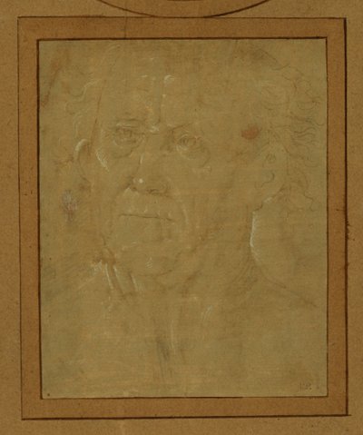 Porträt eines alten Mannes von Lorenzo di Credi
