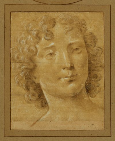 Studie eines Mannes mit langen, lockigen Haaren von Lorenzo di Credi