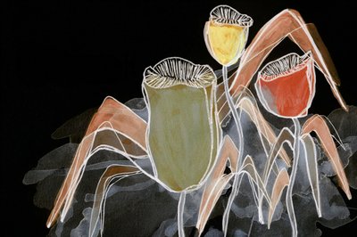 Dunkle botanische Kapseln von Lori Ann Folz