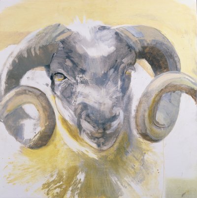Langhornschaf von Lou Gibbs