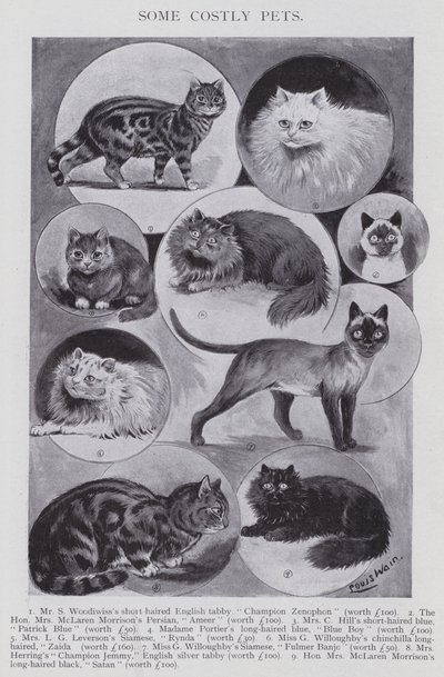Einige kostspielige Haustiere (Lithografie) von Louis (after) Wain