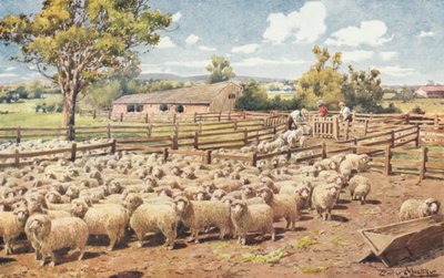 Szene auf einer australischen Schafstation von Louis Fairfax Muckley