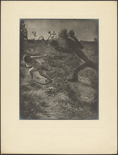 Bogeymann der Wüste von Louis Fleckenstein