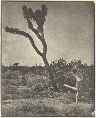 [Tänzerin am Joshua Tree] von Louis Fleckenstein