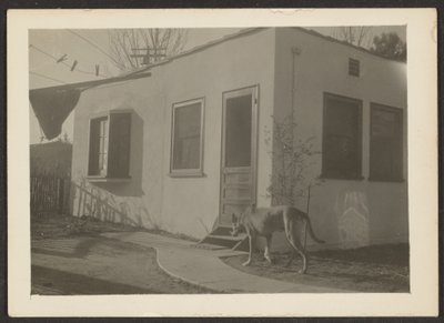 [Hund in der Nähe des Hauses] von Louis Fleckenstein