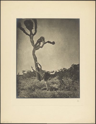 Geschmeidig und anmutig - der tanzende Joshua von Louis Fleckenstein
