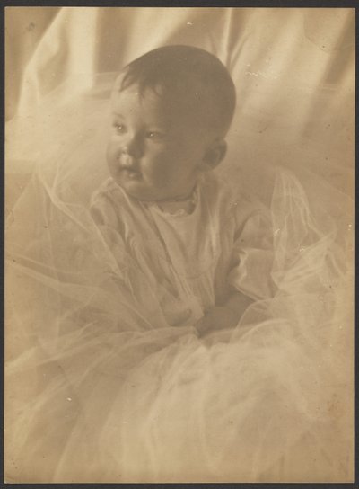 [Porträt eines Babys, umgeben von Tüll] von Louis Fleckenstein