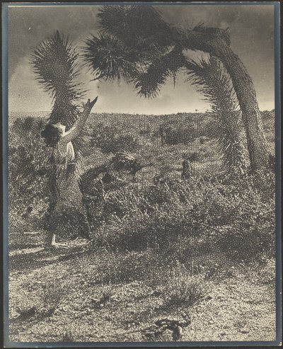 Der Segen von Louis Fleckenstein