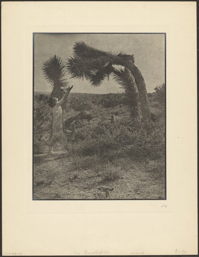 Der Segen von Louis Fleckenstein