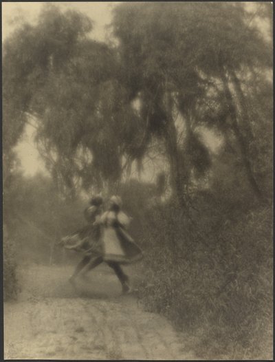 [Zwei Frauen tanzen im Wald] von Louis Fleckenstein