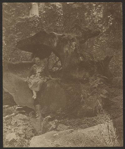 Frau, die auf Felsen sitzt, möglicherweise Frau Fleckenstein von Louis Fleckenstein