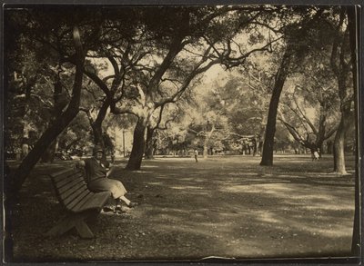 [Frau in einem Park] von Louis Fleckenstein