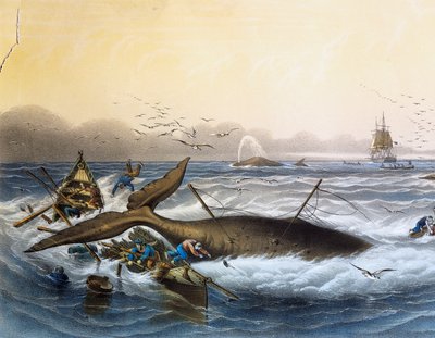 Walfang in den Südmeeren, Farblithographie von Louis Lebreton (gestorben 1866) von Louis Le Breton