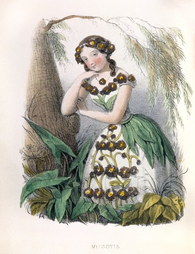 Allegorie, das Vergissmeinnicht von Louis Simon (1810-1870) Lassalle