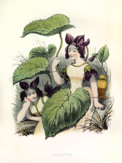 Allegorie, das Veilchen von Louis Simon (1810-1870) Lassalle