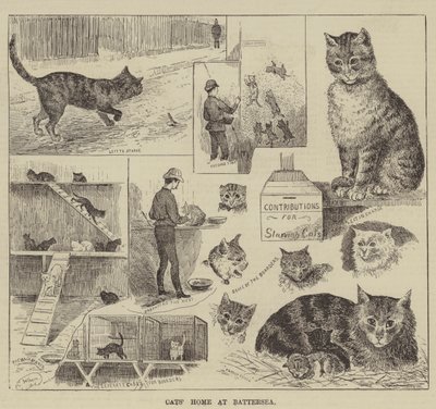 Katzenheim in Battersea von Louis Wain