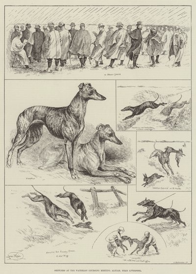 Skizzen beim Waterloo Coursing Meeting, Altcar, in der Nähe von Liverpool von Louis Wain