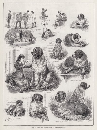 Die Ausstellung des St. Bernhard Clubs in Knightsbridge von Louis Wain