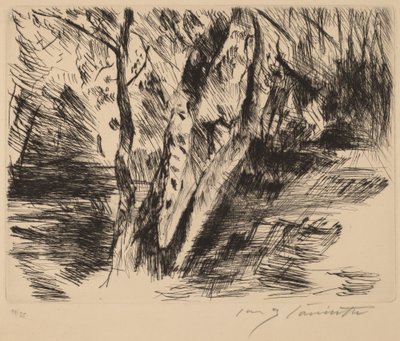 Birkenstämme im Tiergarten von Lovis Corinth