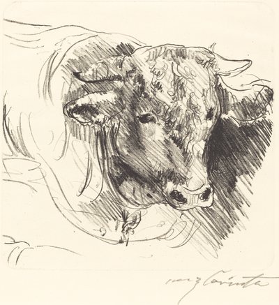 Stierkopf von Lovis Corinth