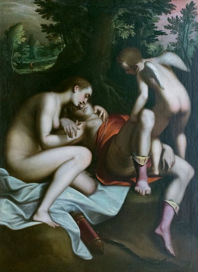 Der Tod des Adonis von Luca Cambiaso