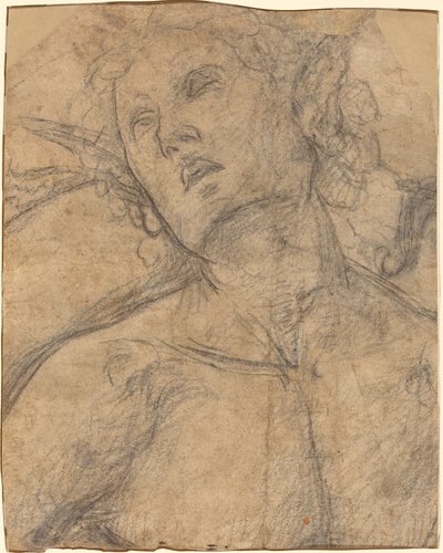 Büste eines nach oben blickenden Jünglings (recto) von Luca Signorelli