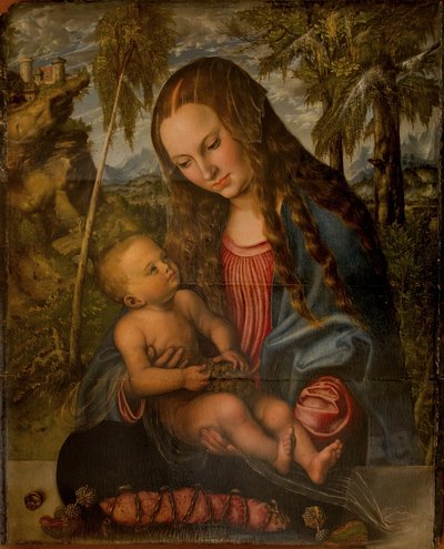 Madonna unter der Tanne von Lucas Cranach the Elder