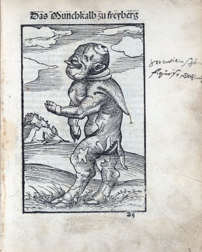 Mönchskalb von Freiberg, von Lucas Cranach dem Älteren (1472-1553) von Lucas the Elder Cranach