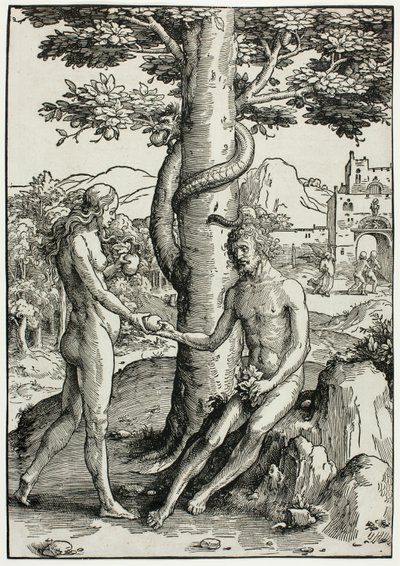 Adam und Eva (Der Sündenfall) von Lucas van Leyden