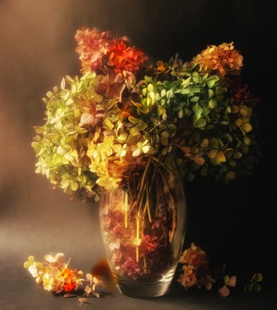 Verblassendes Hortensien-Stillleben von Ludmila Shumilova