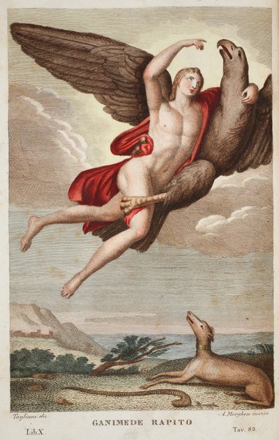 Ganymed in den Himmel getragen oder Ganimede Rapito, Buch X, Illustration aus Ovids Metamorphosen, Florenz, 1832 (handkolorierte Gravur) von Luigi Ademollo