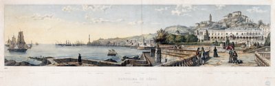 Panoramablick auf die Stadt Genua (Lithographie) von Luigi Garibbo