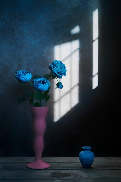 Blaue Rosen im Fensterlicht von Lydia Jacobs