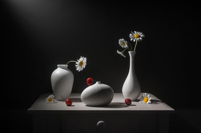 Gänseblümchen Vasen und Kirschen von Lydia Jacobs