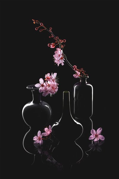 Elegante Blütenvasen von Lydia Jacobs