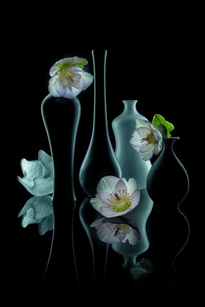 Elegantes Blumenleuchten von Lydia Jacobs