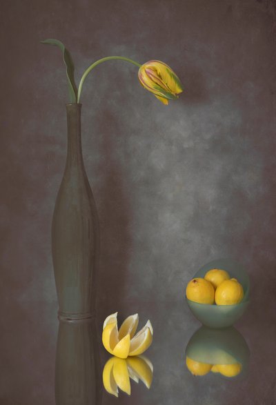  von Lydia Jacobs