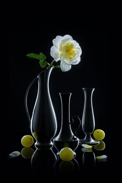 Leuchtende Rose und Vasen von Lydia Jacobs