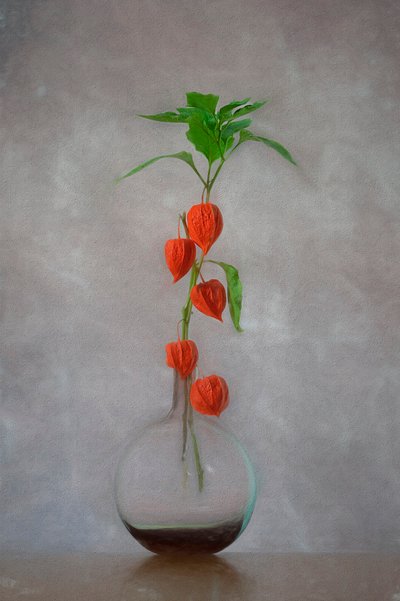 Orange Laternen Vase von Lydia Jacobs