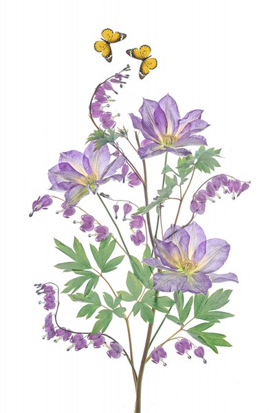  von Lydia Jacobs
