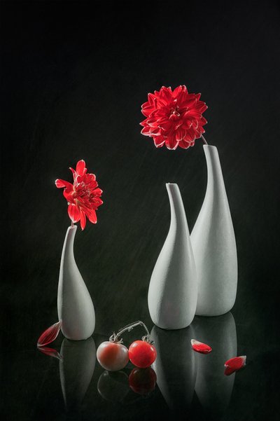  von Lydia Jacobs