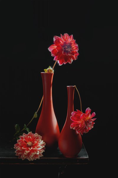 Lebendiges Dahlien-Stillleben von Lydia Jacobs