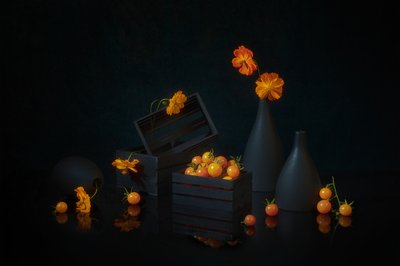 Lebhaftes Ernte Stillleben von Lydia Jacobs