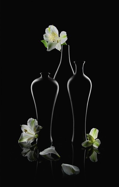 Weiße Blumen Dunkle Vasen von Lydia Jacobs